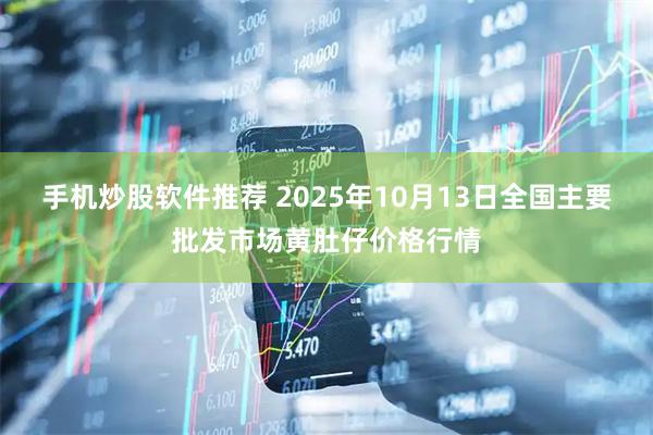 手机炒股软件推荐 2025年10月13日全国主要批发市场黄肚仔价格行情