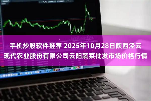 手机炒股软件推荐 2025年10月28日陕西泾云现代农业股份有限公司云阳蔬菜批发市场价格行情