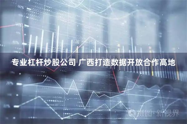 专业杠杆炒股公司 广西打造数据开放合作高地